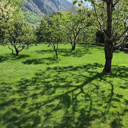 Queen Teuta Otel Risan Dış mekan fotoğraf