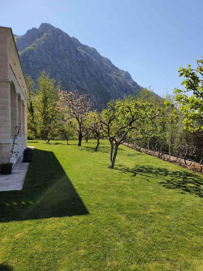 Queen Teuta Otel Risan Dış mekan fotoğraf