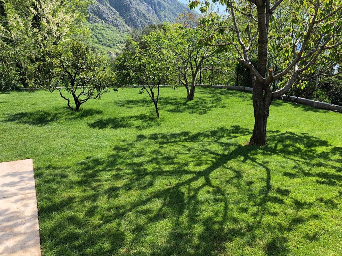 Queen Teuta Otel Risan Dış mekan fotoğraf