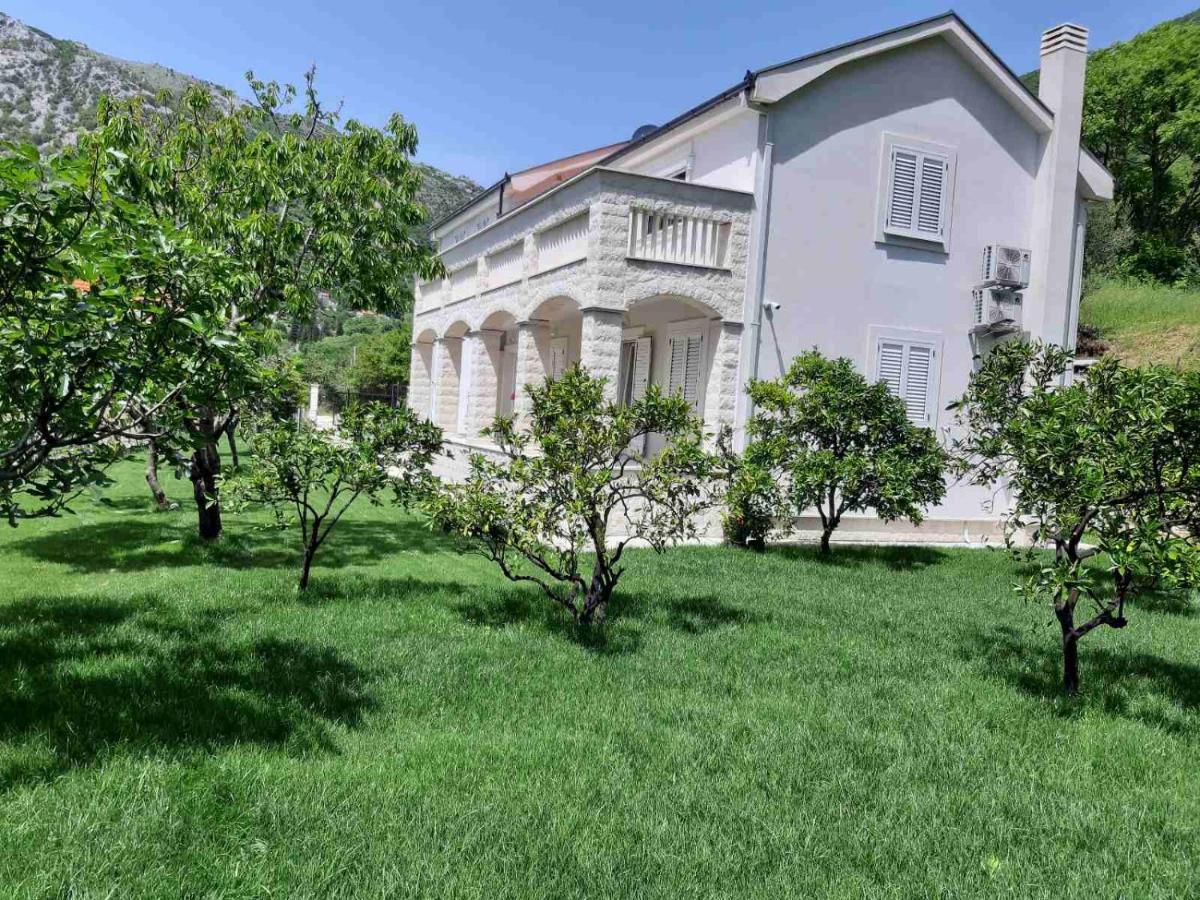 Queen Teuta Otel Risan Dış mekan fotoğraf